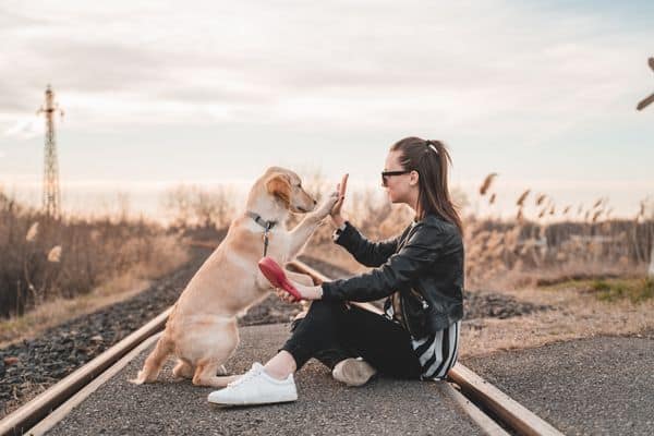 20 Simple Ways To Save Money On Pets