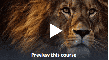 Photography course to learn how to make free money from stock photos