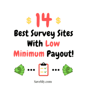 14 Best Survey Sites With Low Minimum Payout In 2019 - 