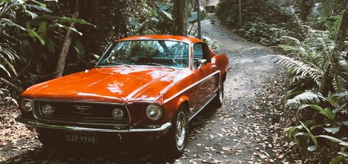 find ways to save money on transportation costs
