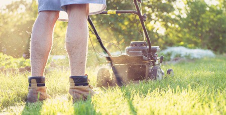 Mow Lawns/Shovel Snow